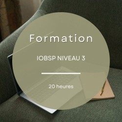 Formation IOBSP niveau 3 de 20 heures pour acquérir les connaissances essentielles en intermédiation bancaire.