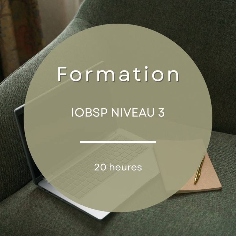 Formation IOBSP niveau 3 de 20 heures pour acquérir les connaissances essentielles en intermédiation bancaire.