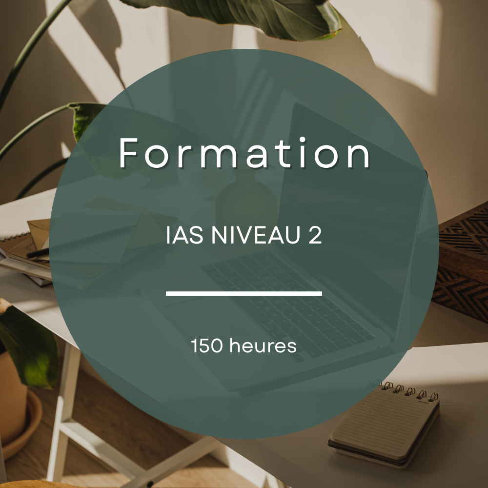 Formation ias niveau