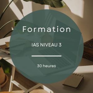 formation-ias-niveau-3 FORMATION IAS NIVEAU 3